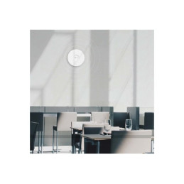 Borne d'accès sans fil - Wi-Fi 6 - 2.4 GHz, 5 GHz - géré par le Cloud - montable au plafond - mur - pou... (EAP613)_1