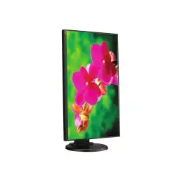 NEC MultiSync E242N - Écran LED - 24" - 1920 x 1080 Full HD (1080p) @ 60 Hz - IPS - 250 cd - m² - 1000:1 -... (60004990)_4