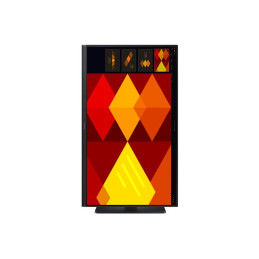 S40GD Series - écran LED - 24" - 1920 x 1080 Full HD (1080p) @ 100 Hz - IPS - 250 cd - m² - 100... (LS24D406GAUXEN)_2