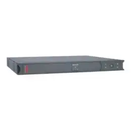 APC Smart-UPS SC 450VA - Onduleur (rack-montable) - CA 230 V - 280 Watt - 450 VA - RS-232 - connecteurs ... (SC450RMI1U)_3