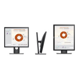 Écran LED - 19" - 1280 x 1024 @ 60 Hz - IPS - 250 cd - m² - 1000:1 - 6 ms - HDMI, VGA, DisplayPor... (DELL-P1917SE)_10