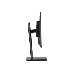 Écran LED - 23" (22.5" visualisable) - 1920 x 1200 WUXGA @ 75 Hz - IPS - 250 cd - m² - 1000:1 - ... (XUB2395WSU-B5)_8