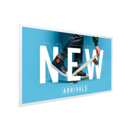 Classe de diagonale 32" (31.5" visualisable) - EMDX series affichage e-Paper - E Ink Spectra 6 ... (LH32EMDIBGBXEN)_5