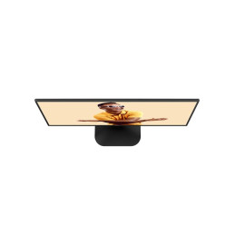 Écran LED - 24" (23.8" visualisable) - 1920 x 1080 Full HD (1080p) @ 120 Hz - IPS - 300 cd - m² - 1500:... (24B31H)_6