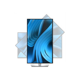 Écran LED - 27" - 3840 x 2160 4K @ 100 Hz - IPS - 350 cd - m² - 1500:1 - 5 ms - HDMI, DisplayPort... (DELL-P2725QE)_11