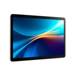 Tablette - Android 14 - 128 Go eMMC - 11" IPS (1920 x 1200) - Logement microSD - gris champagne (NT.LHQEF.001)_5