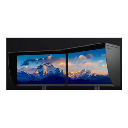 SW Series - écran LED - 24.1" - 2560 x 1440 @ 60 Hz - IPS - 400 cd - m² - 1000:1 - HDR10 - 5 ms - HDMI,... (SW242Q)_3