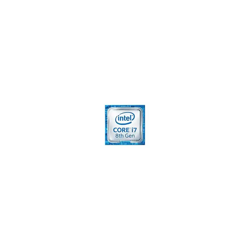 Intel Core i7 8700T - 2.4 GHz - 6 curs - 12 fils - 12 Mo cache - LGA1151 Socket - OEM (CM8068403358413)_1