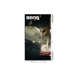 Écran LED - 31.5" - 3840 x 2160 4K @ 60 Hz - IPS - 400 cd - m² - 1000:1 - DisplayHDR 400 - 5 ms - 3xHD... (EW3290U)_1