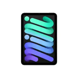 Tablette - 128 Go - 8.3" IPS (2266 x 1488) - 3G, 4G, 5G - gris sidéral (MXPN3NF/A)_1