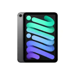 Tablette - 128 Go - 8.3" IPS (2266 x 1488) - 3G, 4G, 5G - gris sidéral (MXPN3NF/A)_2