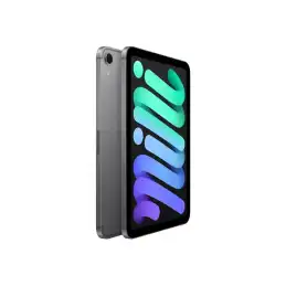 Tablette - 128 Go - 8.3" IPS (2266 x 1488) - 3G, 4G, 5G - gris sidéral (MXPN3NF/A)_4