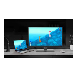 PD Series - écran LED - 25" - 2560 x 1440 QHD @ 60 Hz - IPS - 350 cd - m² - 1000:1 - 5 ms - HDMI, Disp... (PD2506Q)_14