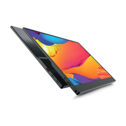 Écran LED - 18.5" - portable - 1920 x 1080 Full HD (1080p) @ 60 Hz - IPS - Mini HDMI, 2xUSB-C - noir (PUM18UF)_1