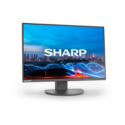 Écran LED - 24" (23.8" visualisable) - 1920 x 1200 - IPS - 300 cd - m² - 1000:1 - 5 ms - HDMI, DVI-D,... (60006210)_2