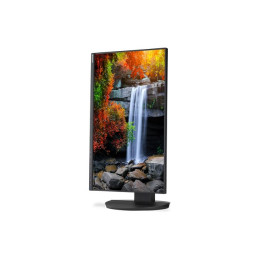 Écran LED - 23.8" - 1920 x 1080 Full HD (1080p) @ 60 Hz - IPS - 250 cd - m² - 1000:1 - 5 ms - HDMI, D... (60006215)_3