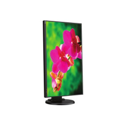 Écran LED - 24" - 1920 x 1080 Full HD (1080p) @ 60 Hz - IPS - 250 cd - m² - 1000:1 - 6 ms - HDMI, VGA... (60004990)_3