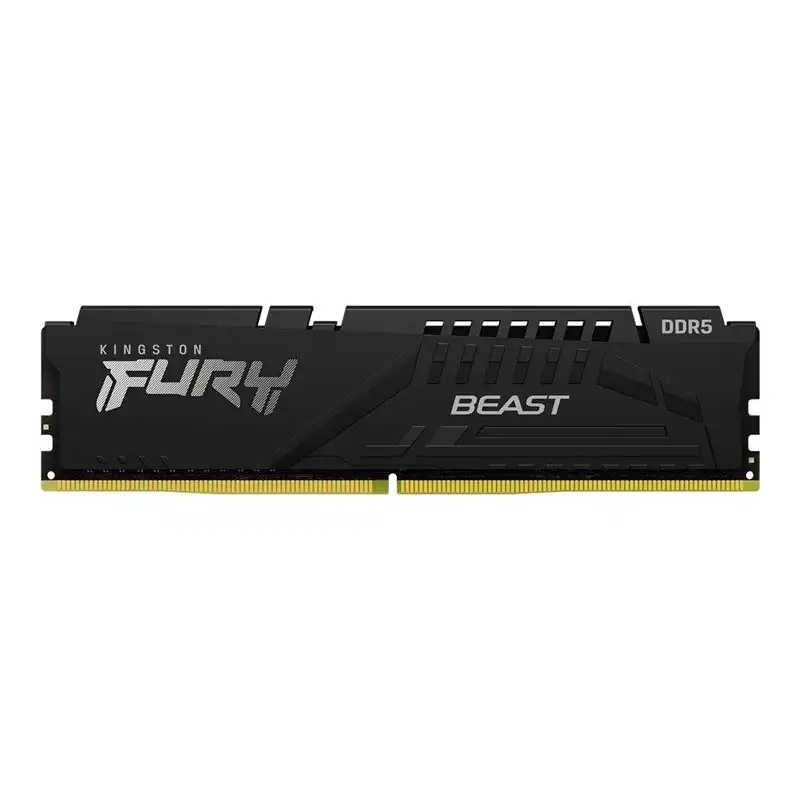 Kingston FURY Beast - DDR5 - module - 16 Go - DIMM 288 broches - 4800 MHz - PC5-38400 - CL38 - 1.1 V ... (KF548C38BB-16)_1