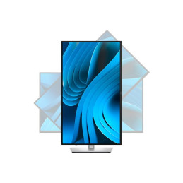 Écran LED - 27" - 2560 x 1440 QHD @ 100 Hz - IPS - 350 cd - m² - 1500:1 - 5 ms - HDMI, DisplayPor... (DELL-P2725DE)_2