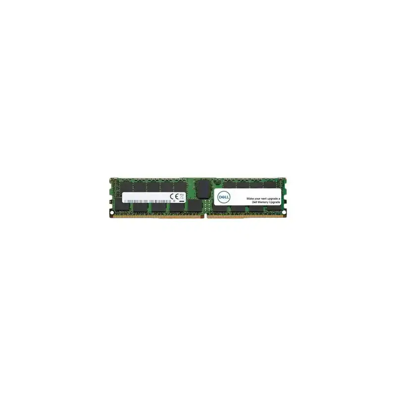 Dell - DDR4 - module - 16 Go - DIMM 288 broches - 2133 MHz - PC4-17000 - mémoire enregistré - ECC (A7945660)_1