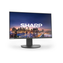 Écran LED - 24" (23.8" visualisable) - 1920 x 1080 Full HD (1080p) - IPS - 250 cd - m² - 1000:1 - 6 m... (60006212)_2