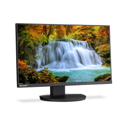 Écran LED - 23.8" - 1920 x 1080 Full HD (1080p) @ 60 Hz - IPS - 250 cd - m² - 1000:1 - 5 ms - HDMI, D... (60006215)_4