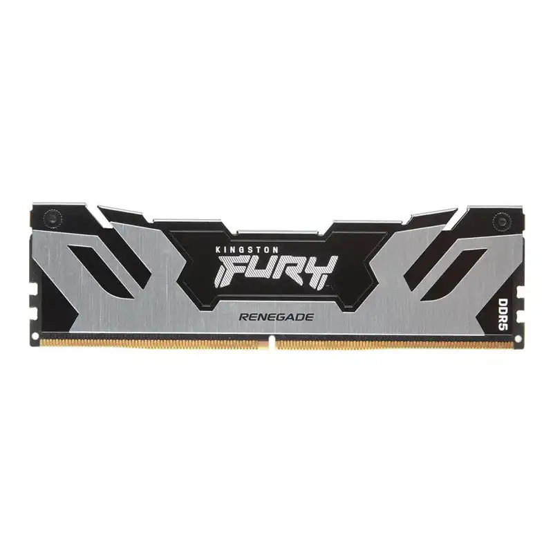 Kingston FURY Renegade - DDR5 - module - 24 Go: 1 x 24 Go - DIMM 288 broches - 7200 MHz - PC5-57600 -... (KF572C38RS-24)_1