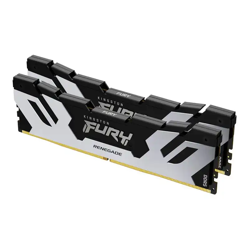 Kingston FURY Renegade Silver - DDR5 - kit - 48 Go: 2 x 24 Go - DIMM 288 broches - 6400 MHz - PC5-5... (KF564C32RSK2-48)_1