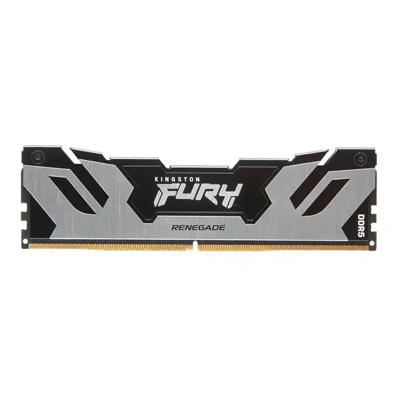 Kingston FURY Renegade - DDR5 - module - 24 Go: 1 x 24 Go - DIMM 288 broches - 6400 MHz - PC5-51200 -... (KF564C32RS-24)_1