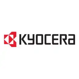 Kyocera - Mémoire - module - 1 Go - pour ECOSYS M3145, M3655, M6230, P3145, P3150, P3155, P3260, P4140, P7... (MD3-1024)_1