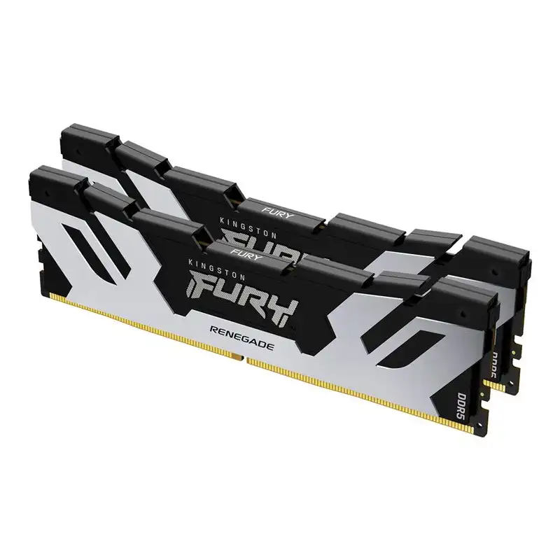 Kingston FURY Renegade Silver - DDR5 - kit - 96 Go: 2 x 48 Go - DIMM 288 broches - 6400 MHz - PC5-5... (KF564C32RSK2-96)_1