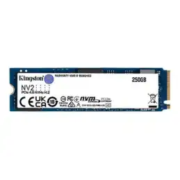 Kingston NV2 - SSD - 250 Go - interne - M.2 2280 - PCIe 4.0 x4 (NVMe) - pour Intel Next Unit of Computin... (SNV2S/250G)_1
