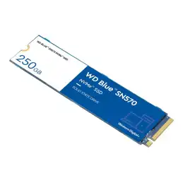 WD Blue SN570 NVMe SSD - SSD - 250 Go - interne - M.2 2280 - PCIe 3.0 x4 (NVMe) (WDS250G3B0C)_1
