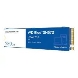 WD Blue SN570 NVMe SSD - SSD - 250 Go - interne - M.2 2280 - PCIe 3.0 x4 (NVMe) (WDS250G3B0C)_2