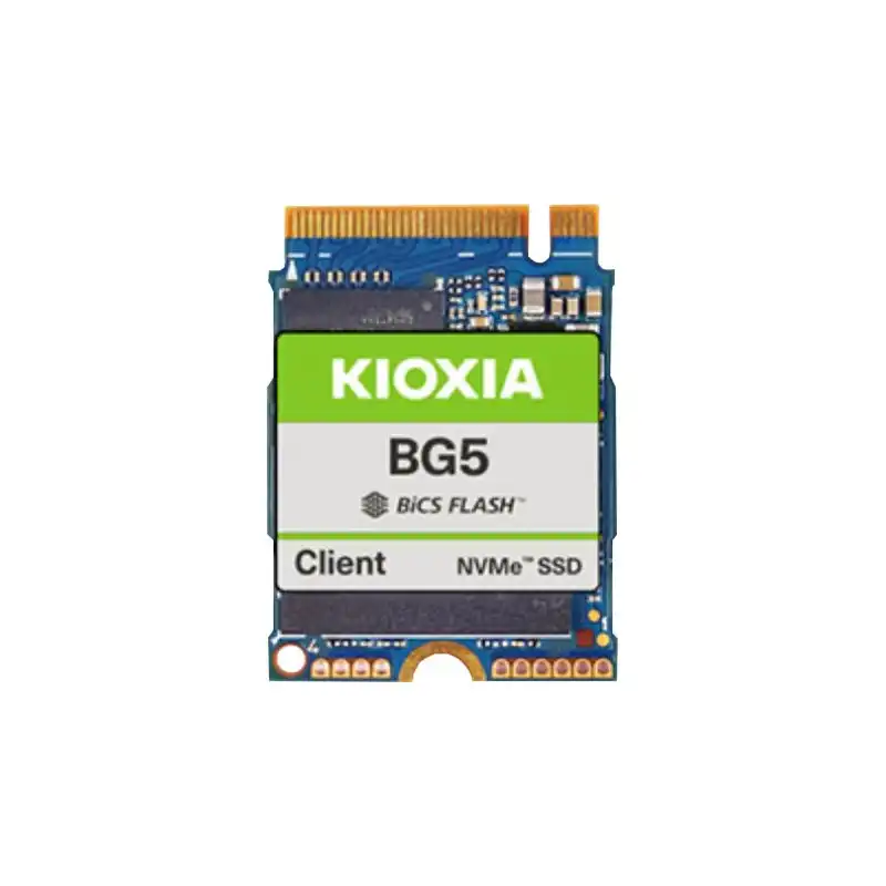 KIOXIA BG5 Series - SSD - 256 Go - client - interne - M.2 2230 - PCIe 4.0 x4 (NVMe) (KBG50ZNS256G)_1