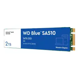 WD Blue SA510 - SSD - 2 To - interne - M.2 2280 - SATA 6Gb - s (WDS200T3B0B)_2