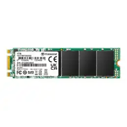 Transcend MTS825S - SSD - 500 Go - interne - M.2 2280 - SATA 6Gb - s (TS500GMTS825S)_1