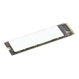 Lenovo - SSD - chiffré - 1 To - interne - M.2 2280 - PCIe 4.0 (NVMe) - TCG Opal Encryption 2.0 (4XB1M86955)_1