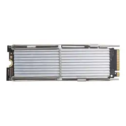 HP - SSD - Value - 512 Go - interne - M.2 2280 - PCIe 4.0 x4 - pour Workstation Z2 G9 (mini) (4N008AA)_1