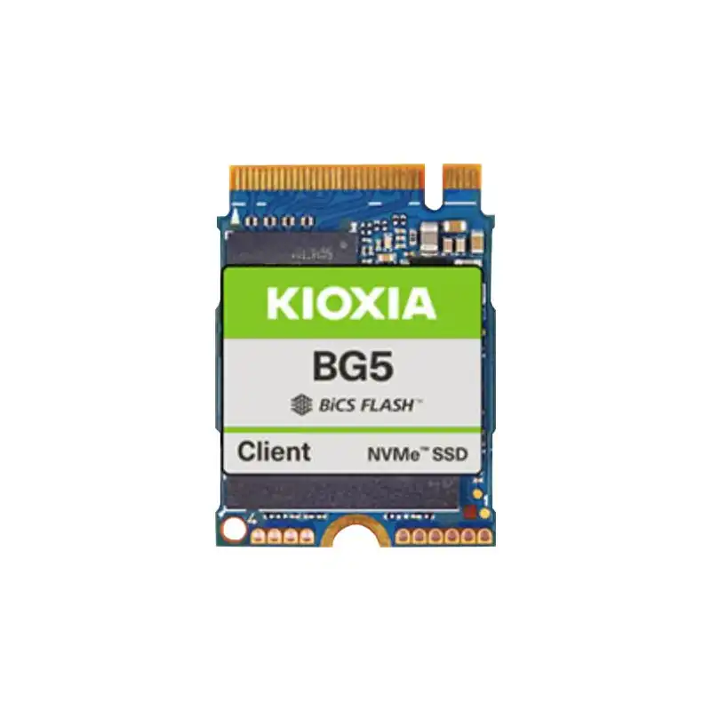 KIOXIA BG5 Series - SSD - 256 Go - client - interne - M.2 2280 - PCIe 4.0 x4 (NVMe) (KBG50ZNV256G)_1