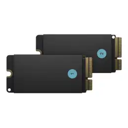 Apple SSD Kit - SSD - 512 Go - interne (pack de 2) - pour Mac Pro (Fin 2019) (MXNN2ZM/A)_1