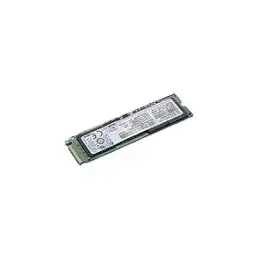 Lenovo ThinkPad - SSD - chiffré - 256 Go - interne - M.2 - PCIe 3.0 (NVMe) - TCG Opal Encryption 2.0 - p... (4XB0K48500)_1