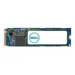 Dell - SSD - chiffré - 1 To - interne - M.2 2280 - PCIe 4.0 x4 (NVMe) - Self-Encrypting Drive (SED) (AC676115)_1