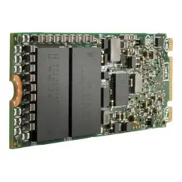 HPE Mixed Use Extended Temperature - SSD - 960 Go - interne - M.2 22110 - PCIe 3.0 x4 (NVMe) (P05892-B21)_1
