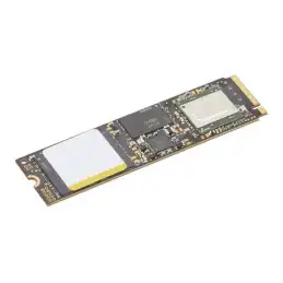 Lenovo ThinkPad - SSD - 4 To - interne - M.2 2280 - PCIe 4.0 x4 - CRU - pour ThinkPad L15 Gen 4 21H3 P15... (4XB1K68131)_1