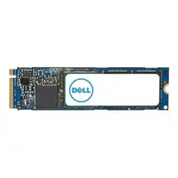 Dell - SSD - 4 To - interne - M.2 2280 - PCIe 4.0 x4 (NVMe) - pour Alienware M15 R7 Precision 3460, 5470, ... (AC037411)_1