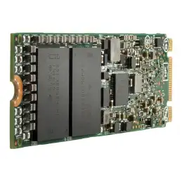 HPE Mixed Use - SSD - 960 Go - interne - M.2 2280 - SATA 6Gb - s - pour Apollo 4200 Gen10 (875492-K21)_1