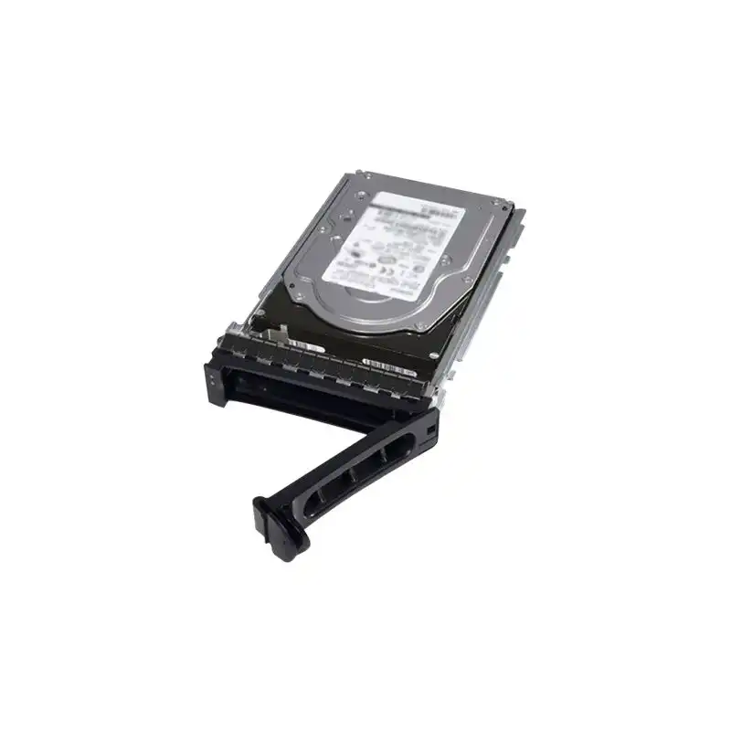 Dell - Kit client - SSD - 800 Go - échangeable à chaud - 2.5" - SAS 12Gb - s (345-BCBQ)_1