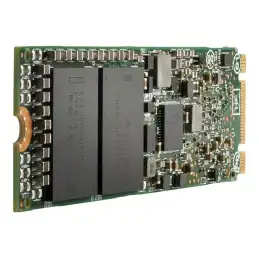 HPE - SSD - 480 Go - interne - M.2 22110 - PCIe 3.0 (NVMe) - Multi Vendor (P40513-H21)_1