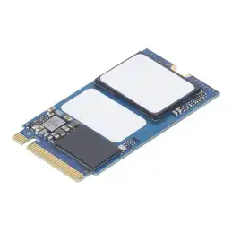 Lenovo - SSD - 256 Go - interne - M.2 2242 - PCIe 3.0 x4 (NVMe) - pour ThinkBook 14 G3 ACL 14 G3 ITL 14s... (4XB1E26214)_1